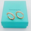 Tiffany Drill Ear Ring