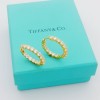 Tiffany Drill Ear Ring