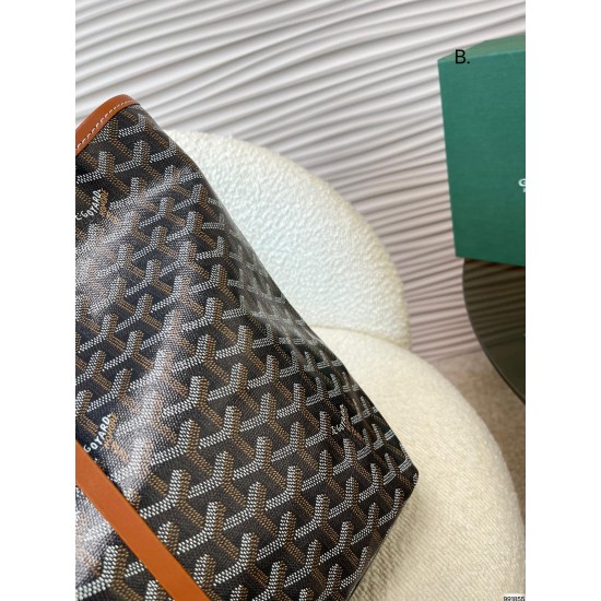 GOYARD SAINT LOUIS PM BAG