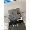 DIOR SADDLE BAG