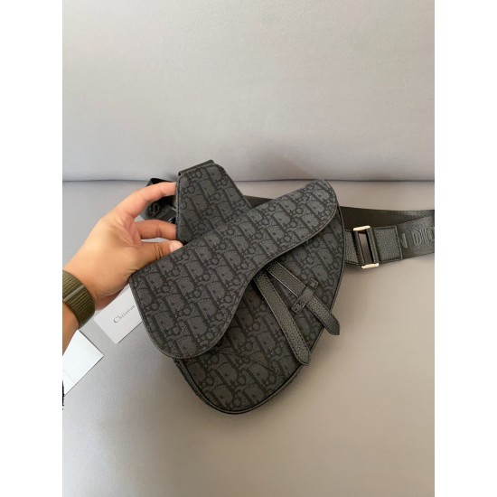 DIOR SADDLE BAG