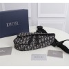 DIOR SADDLE BAG