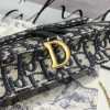 DIOR SADDLE POUCH