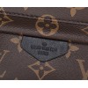 LV PALM SPRINGS BACKPACK MINI