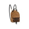 LV PALM SPRINGS BACKPACK MINI RUCKSACK BAG