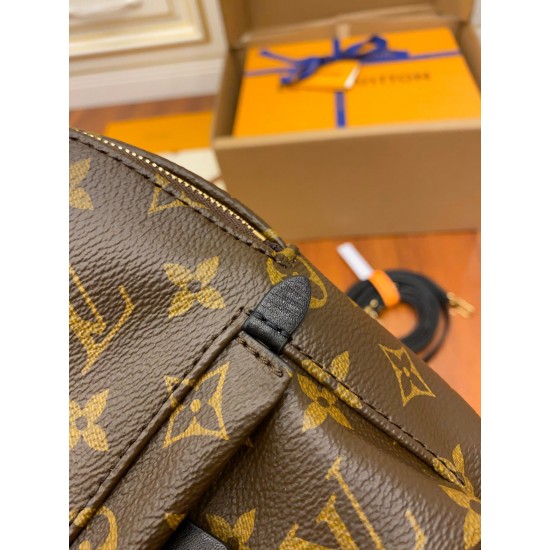 LV PALM SPRINGS MINI