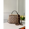 LV VANITY PM OTHER MONOGRAM CANVAS