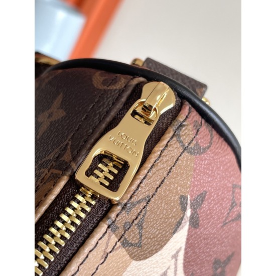 LV KEEPALL BANDOULIERE 25 MONOGRAM